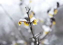 8鸺~_+k9绿6Lc3濐/欑蟶尜臞I??鬷>x鲓渂%HreD恺劯?}?